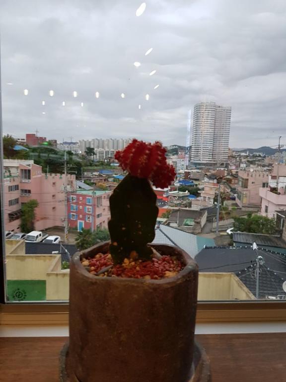 하얀풍차 게스트하우스 목포 외부 사진